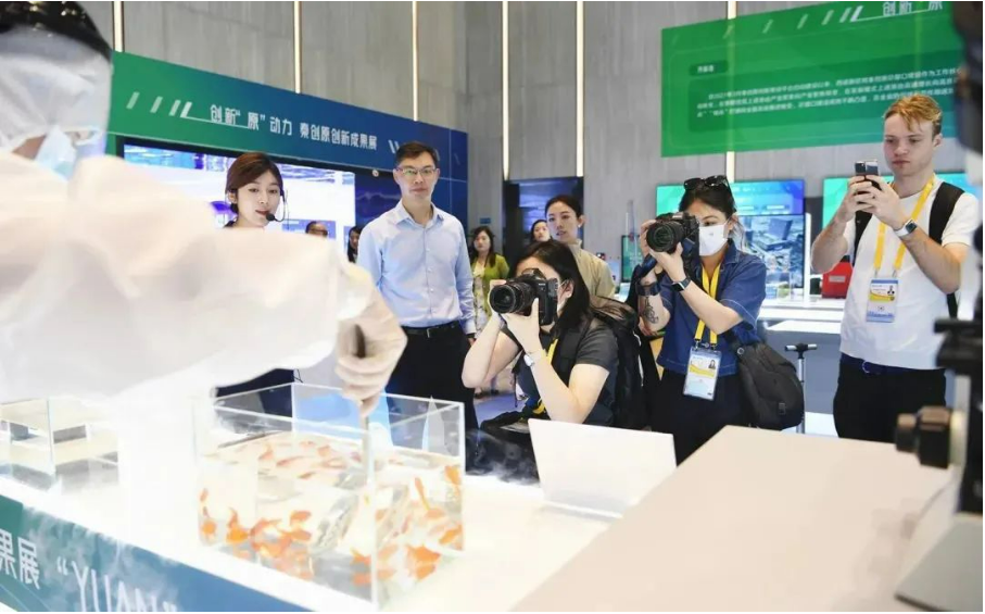 ����̫������!