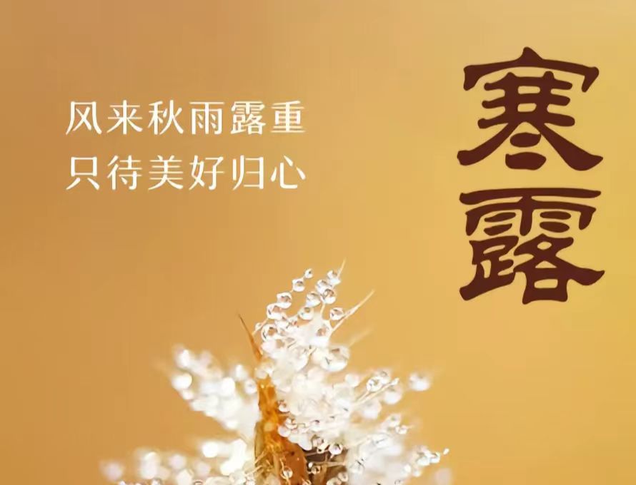 �L(f��ng)��(l��i)����¶����ֻ�����Úw�� ❙ ���պ�¶