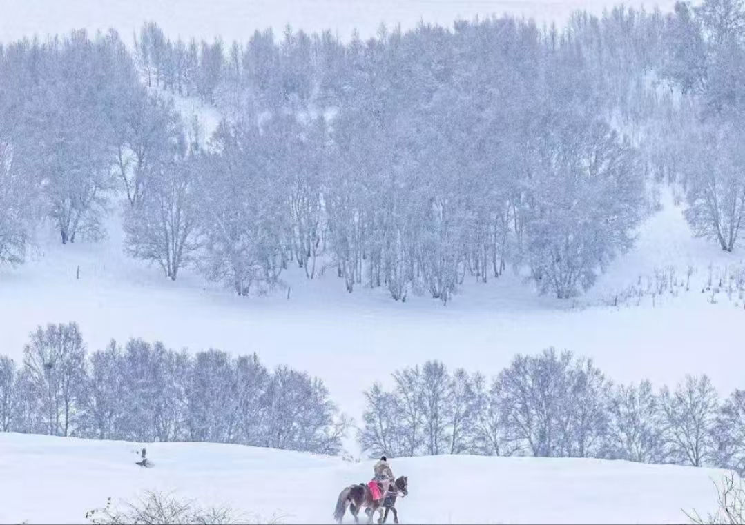 �L(ch��ng)�ſƼ��a(ch��n)�I(y��)�@